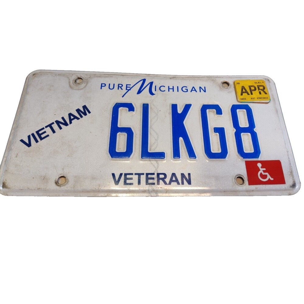 Expired Michigan Vietnam Veteran License Plate 6LKG8 Vintage Militaria Man Cave